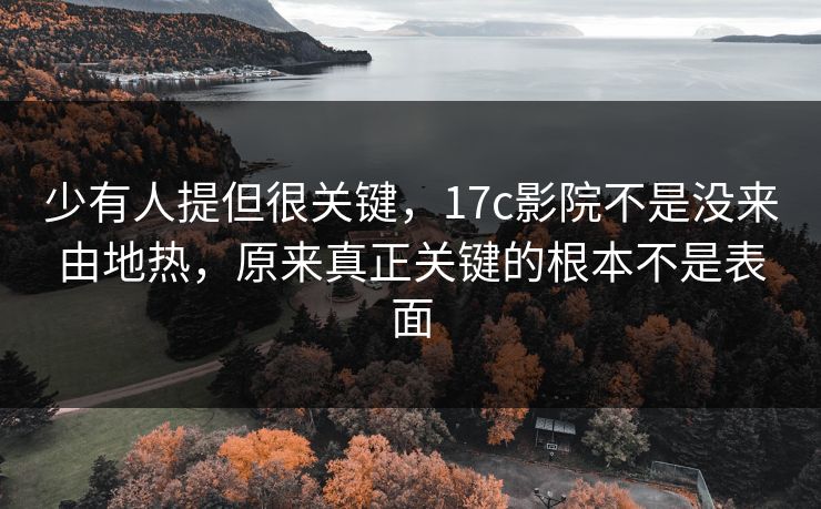少有人提但很关键，17c影院不是没来由地热，原来真正关键的根本不是表面
