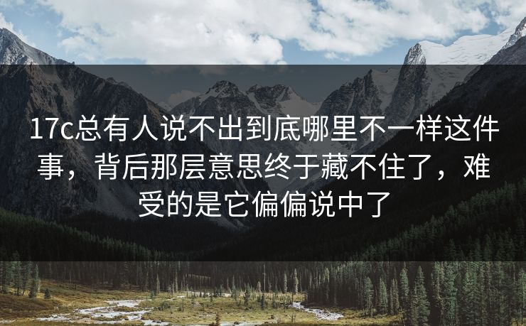 17c总有人说不出到底哪里不一样这件事，背后那层意思终于藏不住了，难受的是它偏偏说中了