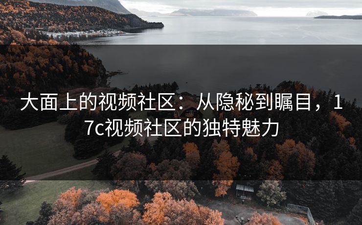 大面上的视频社区：从隐秘到瞩目，17c视频社区的独特魅力