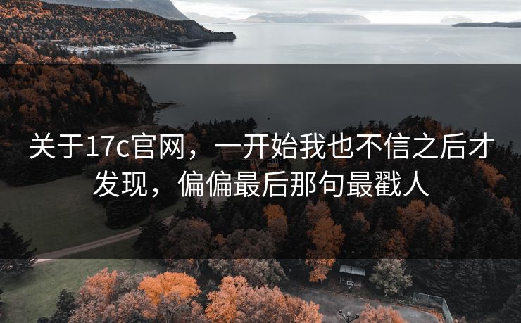 关于17c官网，一开始我也不信之后才发现，偏偏最后那句最戳人