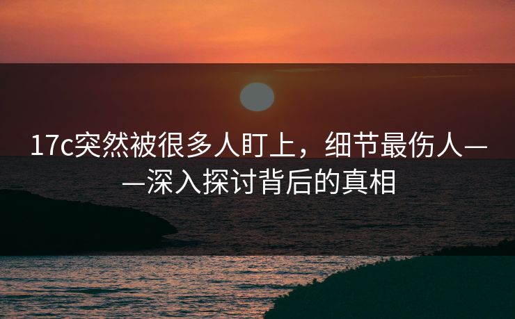 17c突然被很多人盯上，细节最伤人——深入探讨背后的真相