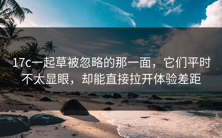 17c一起草被忽略的那一面，它们平时不太显眼，却能直接拉开体验差距